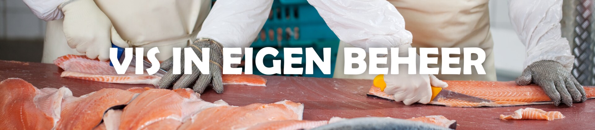 vis in eigen beheer